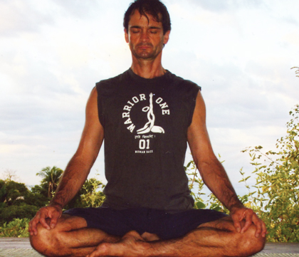 Yoga Adjustments : Philosophy, Principles, and Techniques by Mark  Stephens