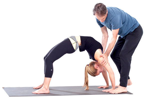 Mark Stephens on LinkedIn: Summer 2022 300-Hour Yoga Teacher Training  attracts a wide range of…