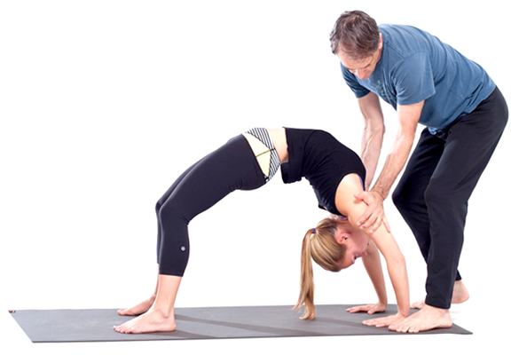 Hands-on Assists & Adjustments Intensive — Yoga Moves